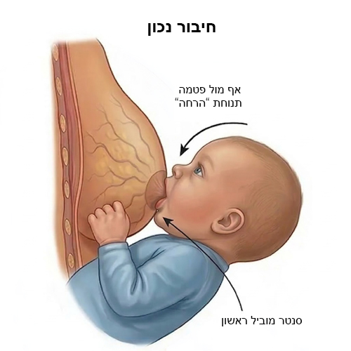 חיבור תקין - בהנקה
